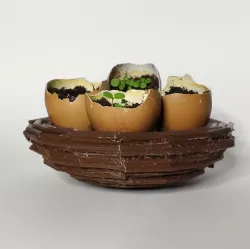 Eggshell Nest Seeder