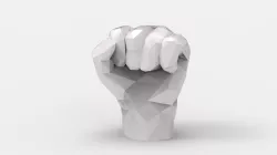 Fist / Poing