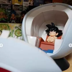 GOKU CAPSULA