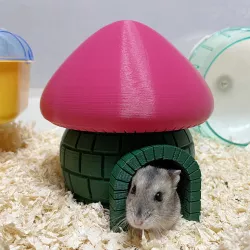 Hamster House, igloo, hamster hideout