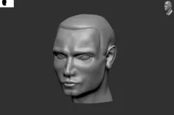 Head