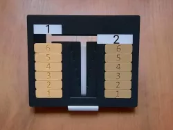 LOGIC GAME - Panex - 2 IN 1.