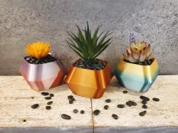 Minimalist Geometric Succulent Planter