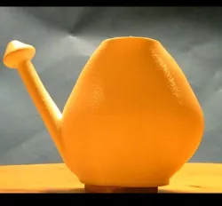nasal douche