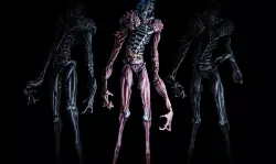 NECRONAUTS: Necroborg action figure