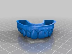 nice dental model