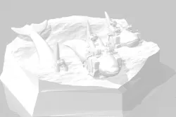 Orca Cavalry
