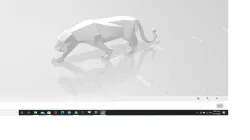 panther