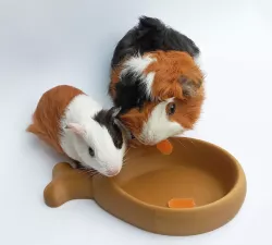 Pet Bowl Drumstick