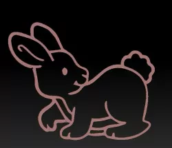 rabbit cookie - rabbit cookie