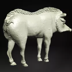 Rio Tinto Boar