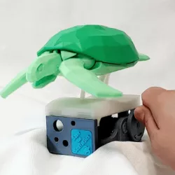 Save the Sea Turtles (automata)