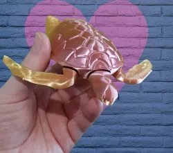 Sea Turtle Chingle