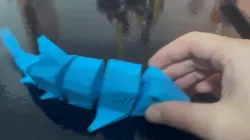 Shark articulated/ Articulated Shark