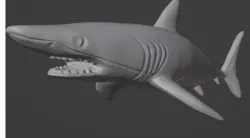 SHARK