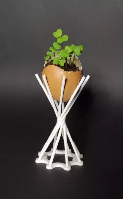Single Eggshell Seeder