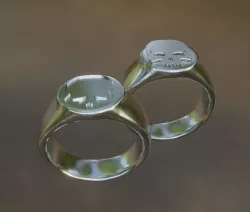 Warhammer 40k Signet ring x2 Skull designs