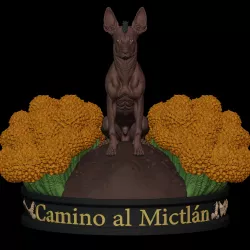 Xolo Road to Mictlan