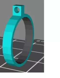 420 joint ring