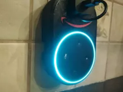 Amazon Echo Dot Plug Mount