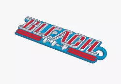 Bleach keychain