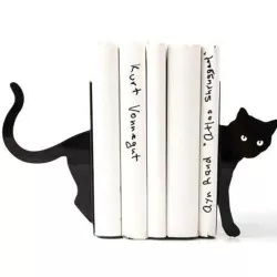 Bookend Cat
