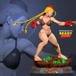 Cammy - Fanart