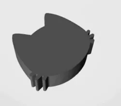 cat face/ cara de gato