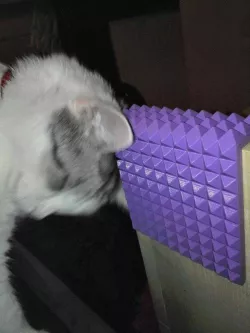 Cat Scratcher