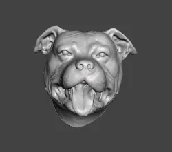DOG HEAD STAFFORSHIRE BULL TERRIER STAFFY PITBULL DOG .obj .stl