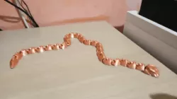 Flex Snake