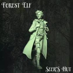 Forest Elf