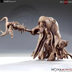 Gnoll Shaman 01