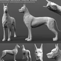 Great Dane