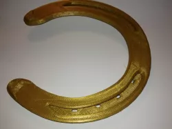 Horse shoe