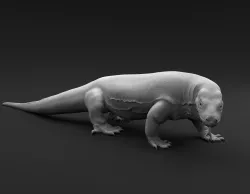Komodo dragon