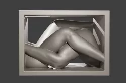 Limb - 2018