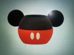 MICKEY MOUSE FLOWERPOT