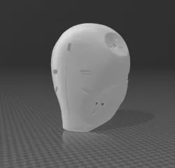 Momentum Helmet JP Performance
