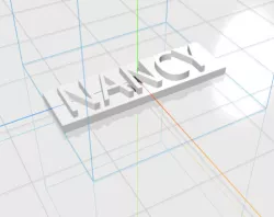 NANCY letters