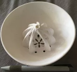 Orange fruit Juicer