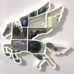 Pegasus Shadow Box / Display / Shelf