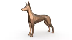 pharaoh hound dog