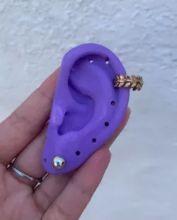 Pierced ear for earring and piercing model. Right and left