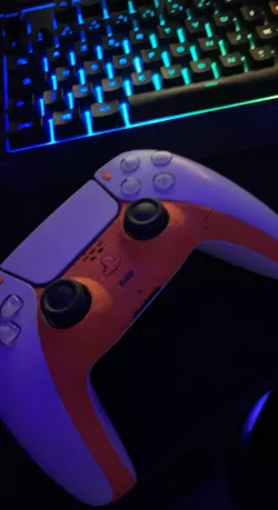 ps5 snake front panel