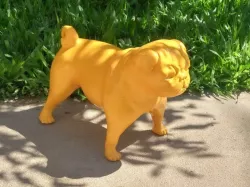 pug mannequin - mannequin of pug dog