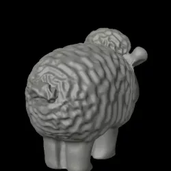 sheep