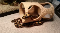 Snake Hide - Fake Log