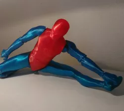 SPIDERMAN