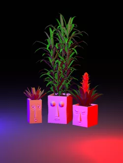 Three face pot